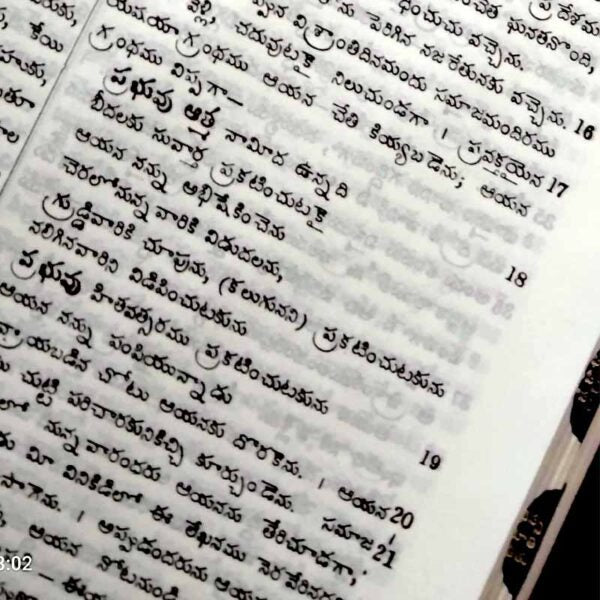 The Holy Bible Telugu Old Version (O.V) Bible with Zip – By BSI – Telugu Korean Print Bibles – Telugu Bibles