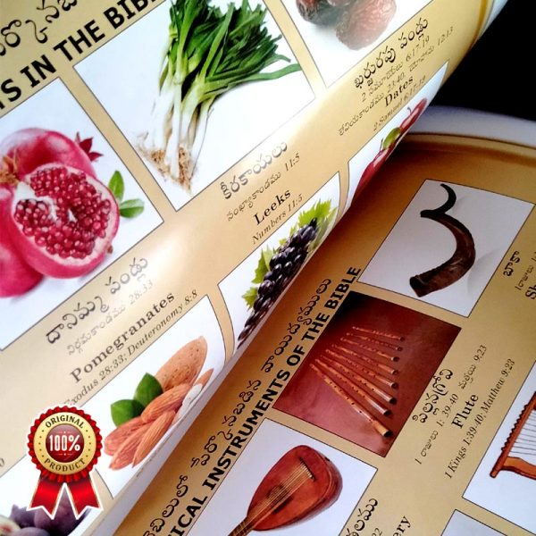 Telugu Bible (O.V) (AMITY) Classic Plus, large print and Red letter Edition with Zip By BSI - Telugu Bibles