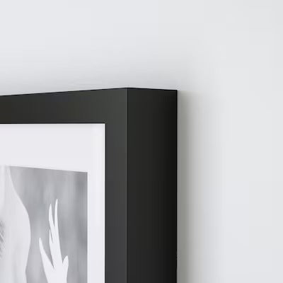 IKEA RIBBA Frame, black | IKEA Picture & photo frames | IKEA Frames & pictures | Eachdaykart