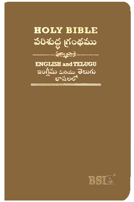 Telugu English Royal Diglot bible Rexine binding Amity PU Brown Color | Telugu Bibles