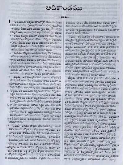 Senior Citizen bible Giant print without zip-Telugu - Telugu Bibles - Senior Citizen Bibles