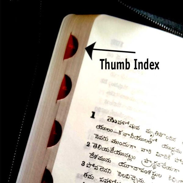 The Holy Bible Telugu Korean Giant Print (OV) With Zip Leather Cover, Gold Edge, Thumb Index with concordance By BSI – Telugu Korean Print Bibles - Korean print bibles in Telugu