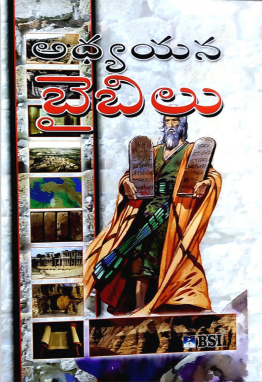Telugu Study Bible by BSI - Telugu Study Bibles - Telugu christian books
