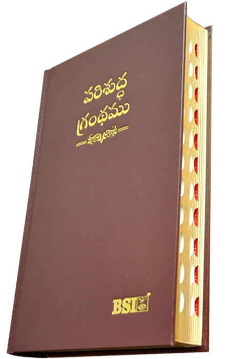 Telugu OV Gilt DY TI Burgandy HB Yaap | Telugu Bibles | Bibles in Telugu