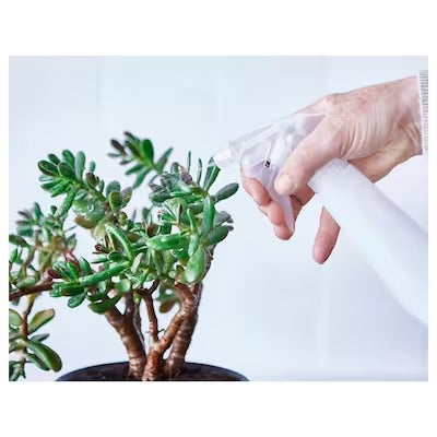 IKEA TOMAT Spray bottle, white | IKEA Growing accessories | IKEA Plants & flowers | IKEA Decoration | Eachdaykart